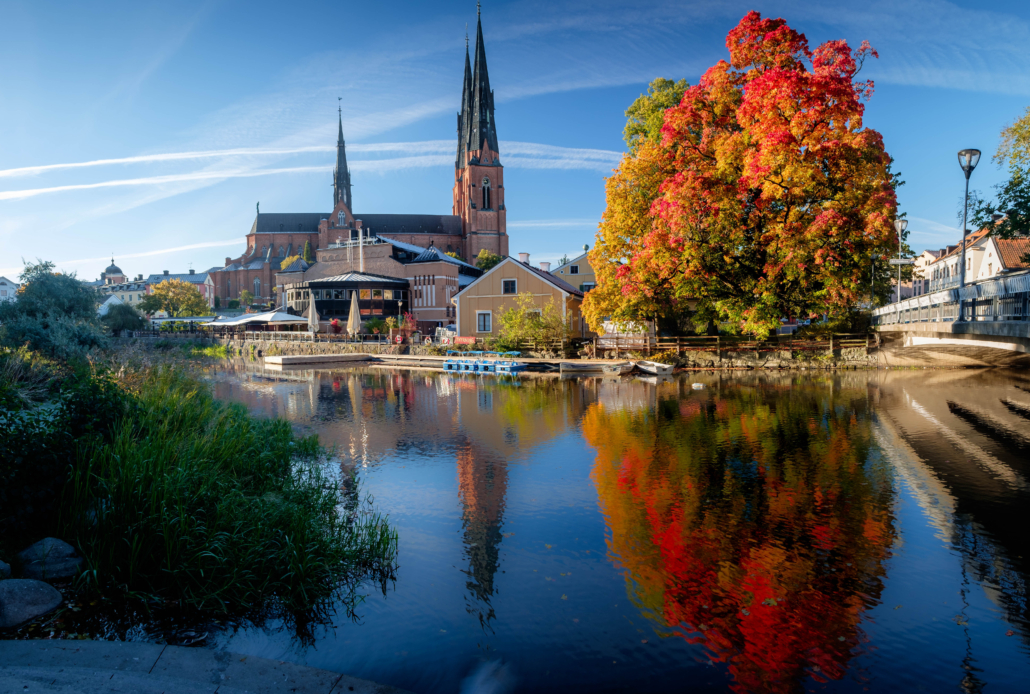 Säljare Uppsala